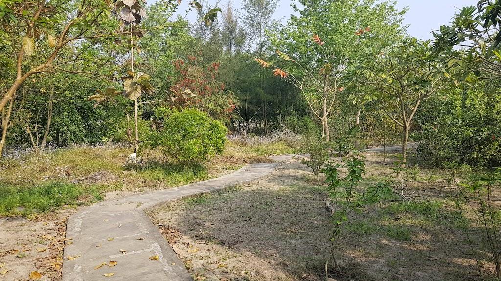 V Resorts Dudhwa Wilderness Camp Lakhimpur Zewnętrze zdjęcie