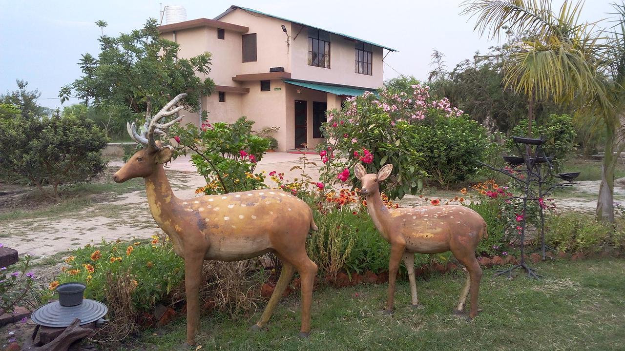 V Resorts Dudhwa Wilderness Camp Lakhimpur Zewnętrze zdjęcie